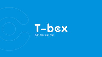 t box產(chǎn)品 品牌形象插畫 vi設(shè)計(jì) 包裝 平面 品牌 mr斑馬 zcool